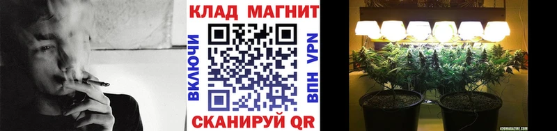 Как найти закладки Новоалтайск Псилоцибиновые грибы  Меф мяу мяу  A PVP  Гашиш  МАРИХУАНА  АМФЕТАМИН 