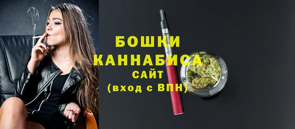 гидра Абаза