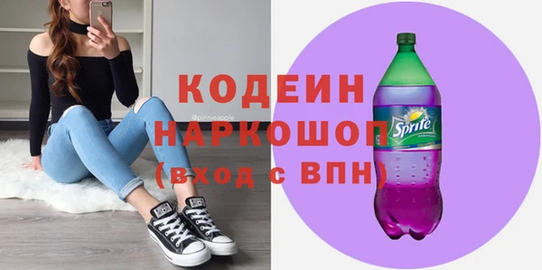 твердый Новодвинск