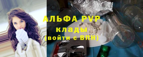 крисы Новозыбков